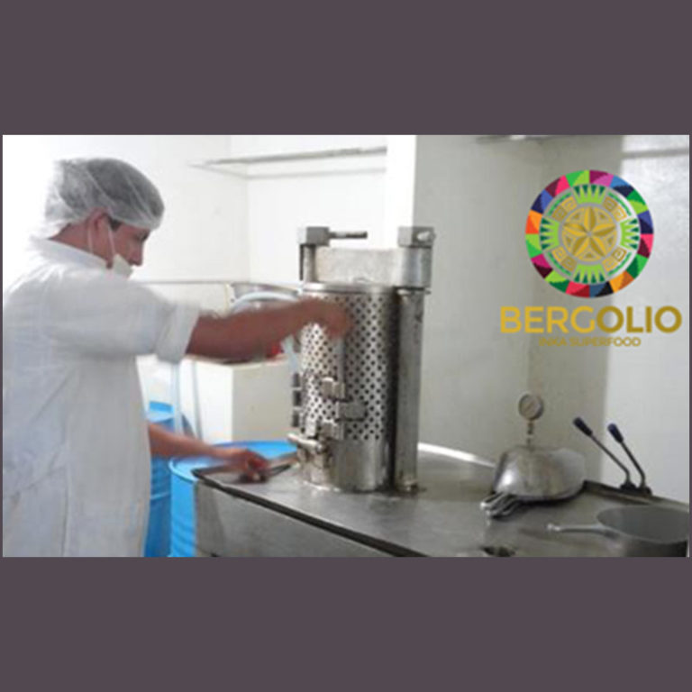 Fournisseur Bergolio IMG 2 Sacha Inchi Laboratoire Bioligo