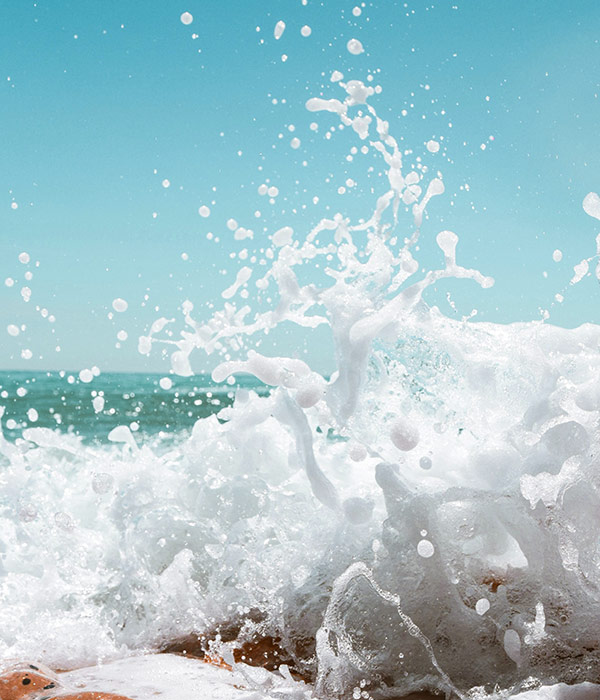 Sel Algues FAQ Laboratoires Bioligo