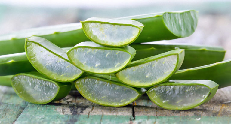 Bannière Aloe vera Laboratoires Bioligo