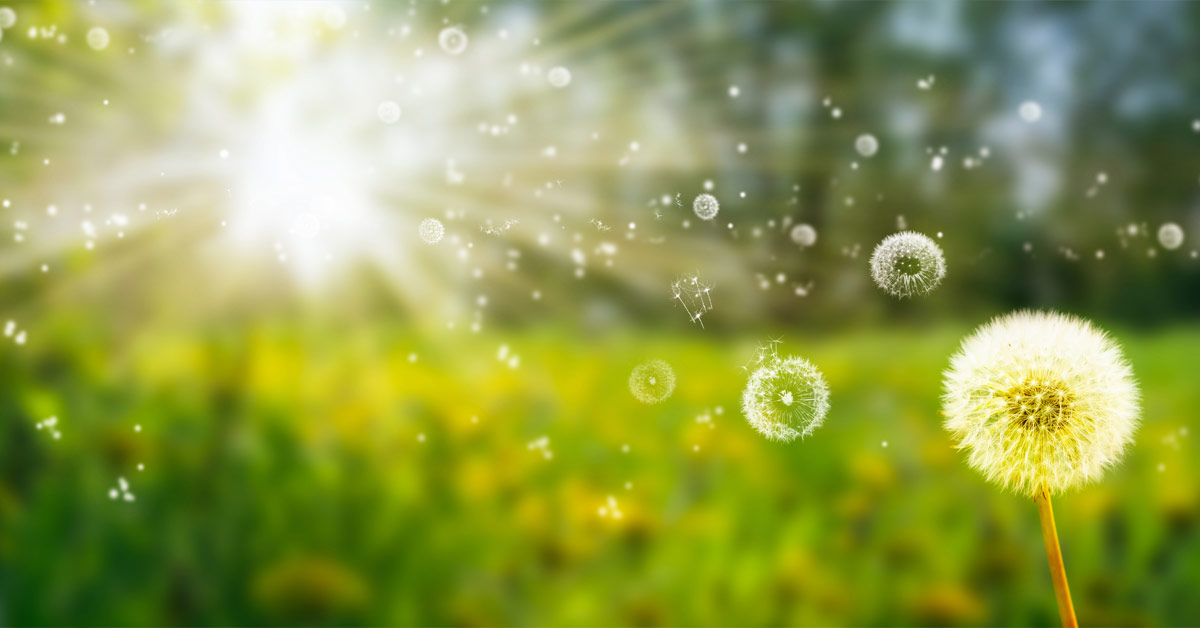 Informations pratiques allergies Laboratoire Bioligo