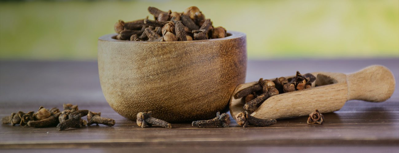Clou girofle bio Huile essentielle Laboratoires Bioligo