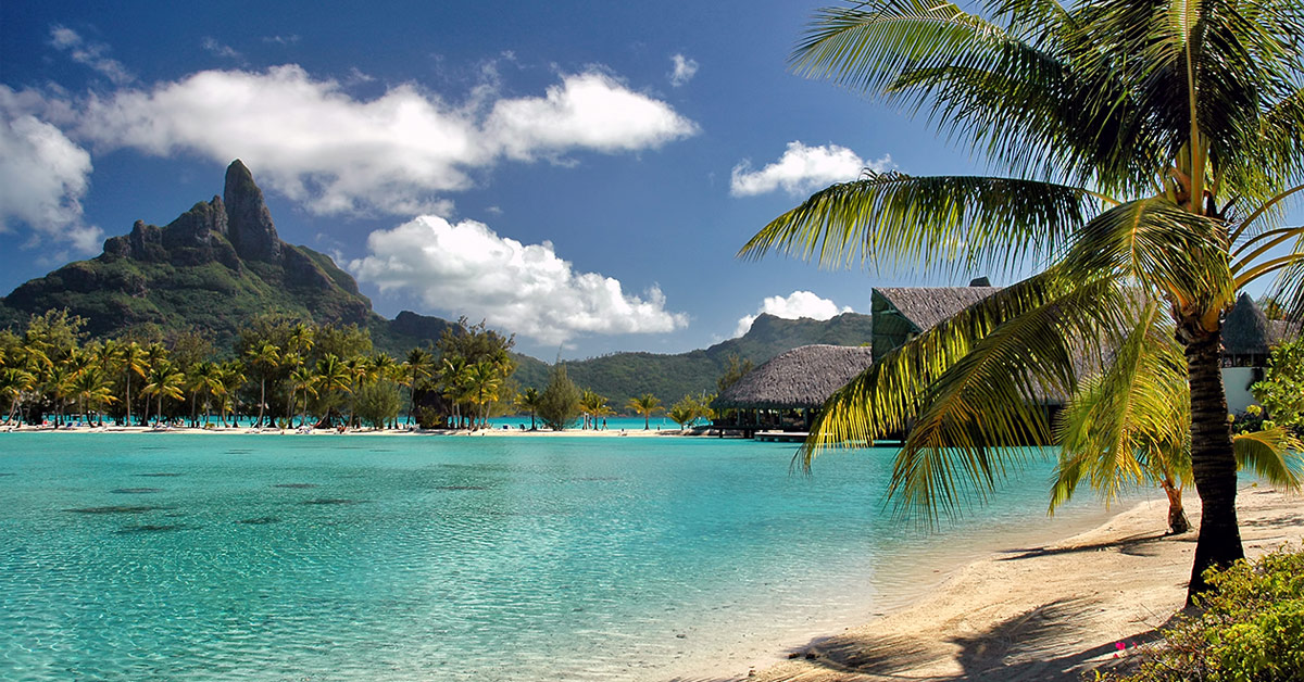 Catégorie HeiPoa Laboratoires Bioligo